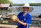 Thailand: Fish farmer and blowfish, Ko Klang, near Krabi Town, Krabi Province