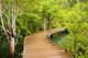 Thailand: A wooden walkway leads through Tha Pom swamp and forest, Krabi Coast